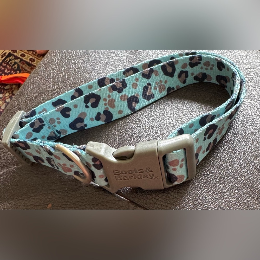 Boots & Barkley Teal and Black Leopard dog Belt